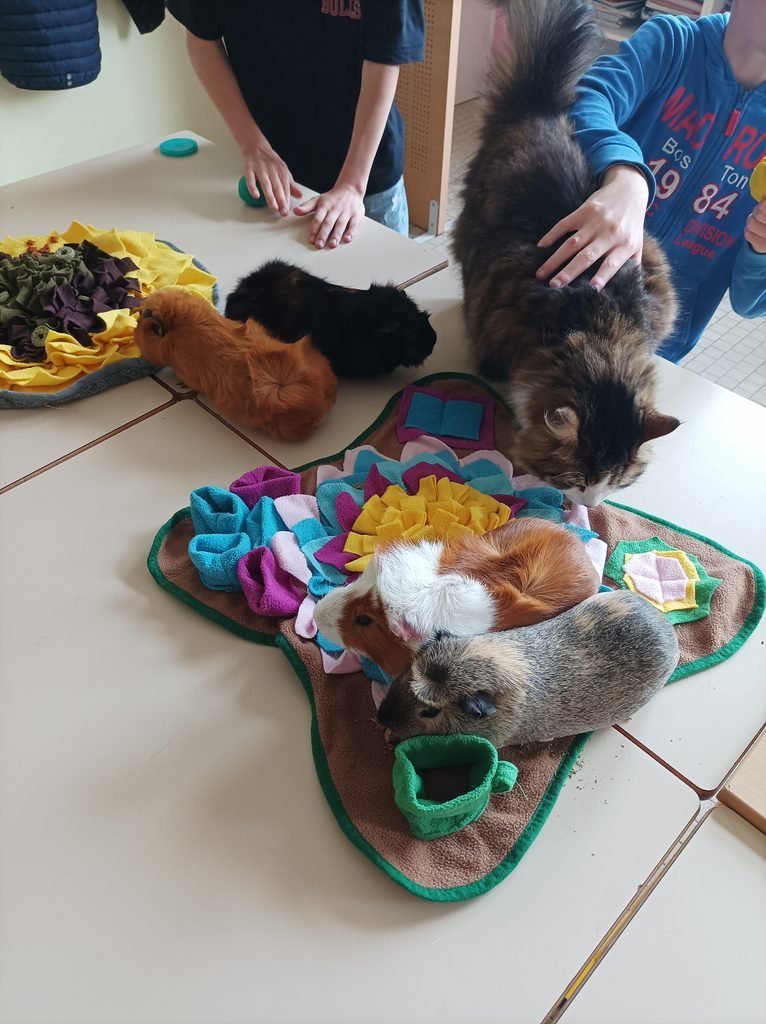 Nos ateliers ateliers collectifs