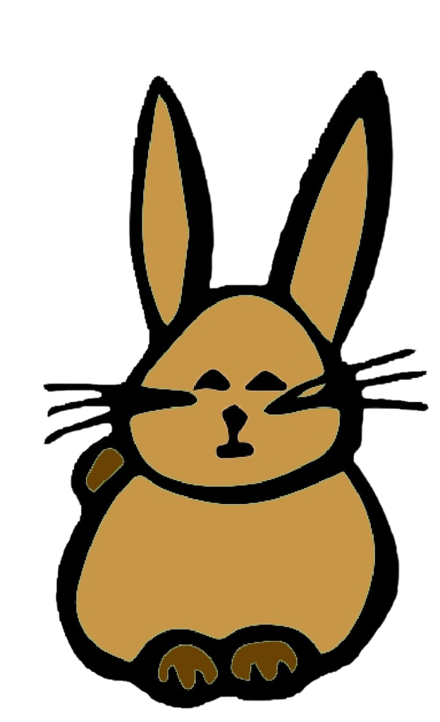 lapin detoure
